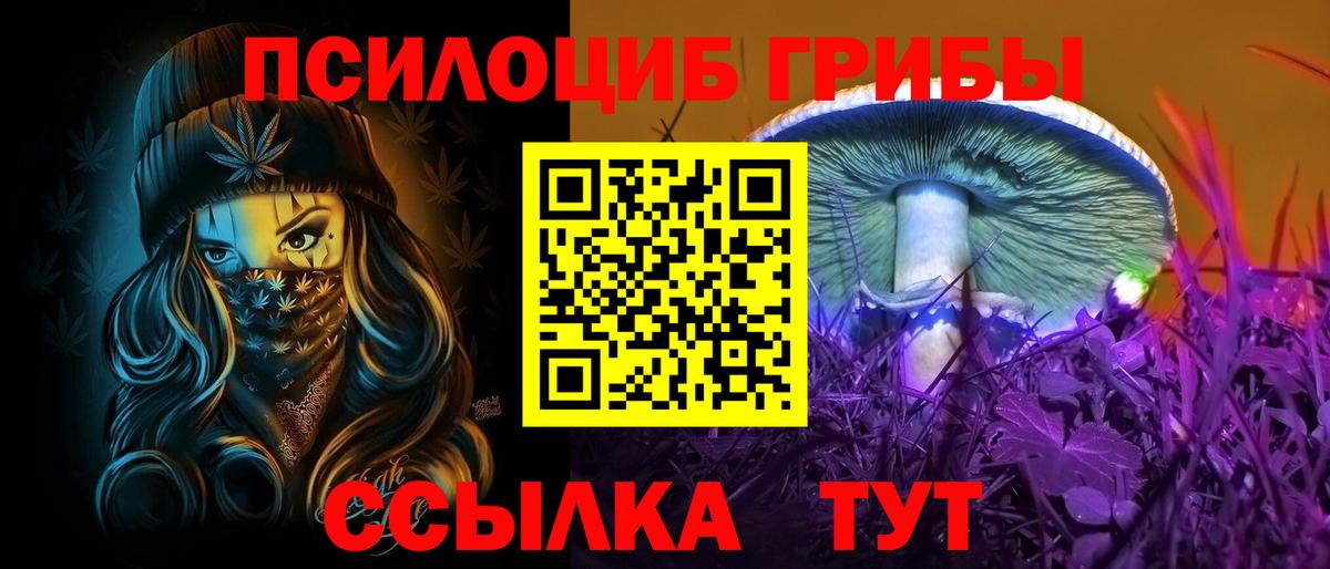 Балашиха  Псилоцибиновые грибы мицелий  Вход с VPN  Псилоцибиновые грибы мухоморы 